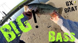 Fishing Bakersfield Ca Dirt Canal| RaPaLa BX Brat