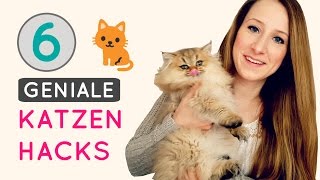 KATZEN LIFE HACKS || 6 geniale DIY's Tipps & Tricks und Spielzeug selber machen  deutsch  CUISINI