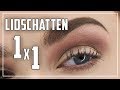 SO klappt es mit dem Lidschatten! - Anfänger Guide | Lidschatten Tutorial Deutsch | Judy R.