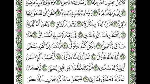 سورة القيامة بصوت الشيخ سعد الغامدي.wmv