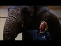 Dr. Murray's Veterinary Insights