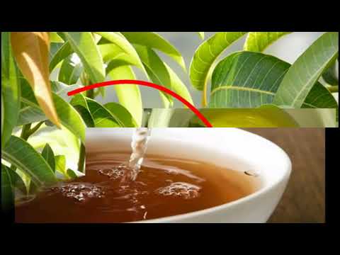 Video: Si Të Gatuajmë Fruta Në Pelte çaji