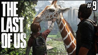 [2K] ZÜRAFA - THE LAST OF US PART 1 TÜRKÇE DUBLAJ BÖLÜM 9