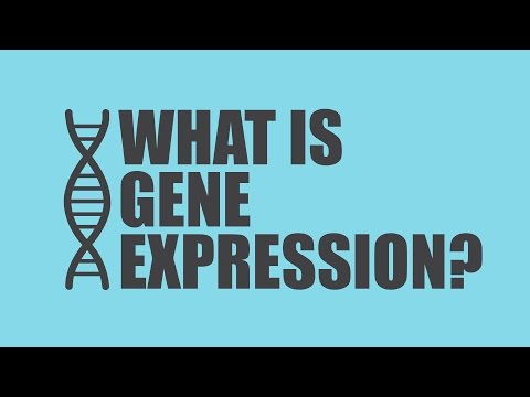 Video: Wat is genexpressie in de microbiologie?