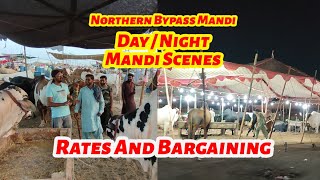 Day And Night Mandi Scenes Rates And Bargaining Northern Bypass Mandi 2024