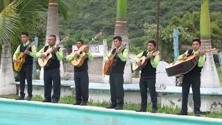 Miniatura de vídeo de "Rondalla Alfa y Omega vol.3 Alegre voy cantando"