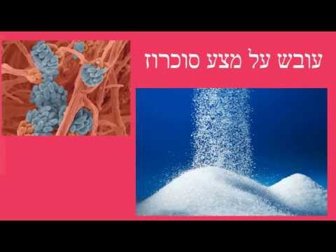 וִידֵאוֹ: מהו ספיגה בכימיה?