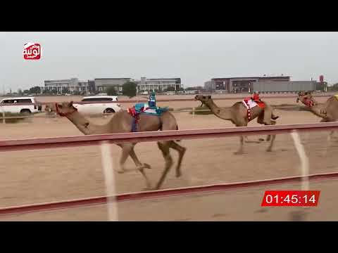 ش 2 حفلان لـ احمد خلفان بخيت بالصايغ المزروعي 4 39 25 شارة الشيخ طحنون 2025 08 23 حقايق التله