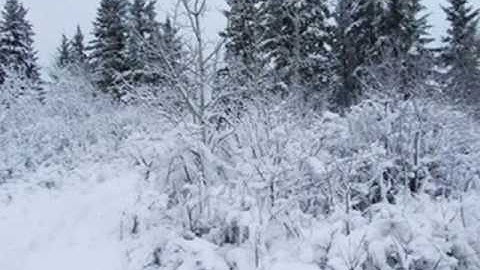 Exit Project -  Garaam Aanday