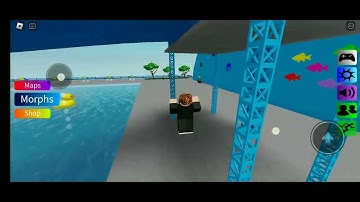 How to get Lemonade Floppa in Find the Floppa Morphs(Roblox)