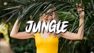 Alok, The Chainsmokers & Mae Stephens - Jungle (Crazyboii MoombahChill Remix)🇵🇬