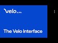 A Tour of the Velo Interface | Velo by Wix