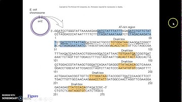 Student Video assignment Replication 1