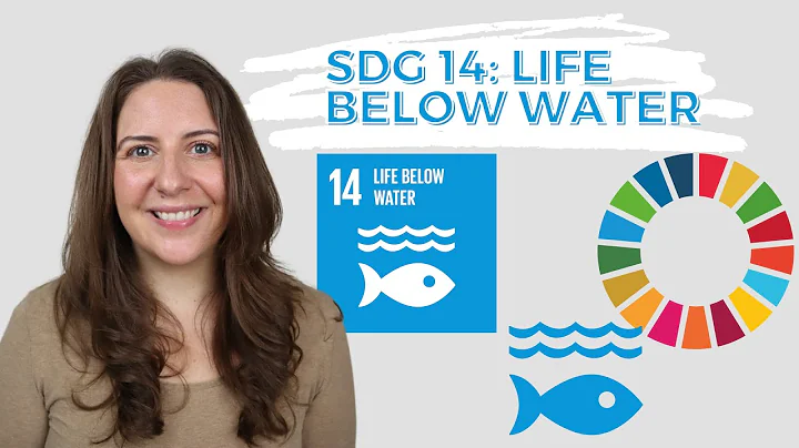 SDG 14 Life Below Water - UN Sustainable Development Goals - DEEP DIVE
