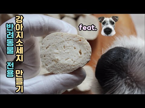 강아지 수제간식, 치즈소세지 만들기/ Dog cheese sausage/ 서담/ SEODAM