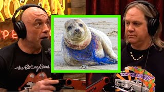 "FORGET CLIMATE CHANGE, We are KILLING The OCEANS!" Joe Rogan & Steve Stro