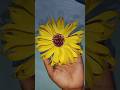 Paper sunflower #shortvideos #papercrafts #youtubeshorts