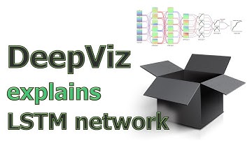 DeepViz: Explaining LSTM network with high dimensional time series data