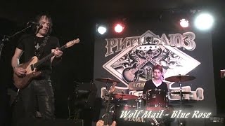 Video thumbnail of "Wolf Mail - Blue Rose"