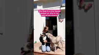 Cute Tiny Home on an Animal Sanctuary #shorts