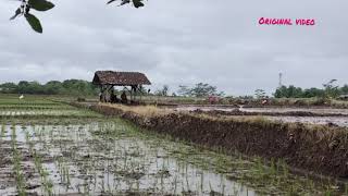 Kumpulan Lagu Terbaik HINDIA X FEAST Full Album 🎧 Top Hits Spotify Indonesia 2026 🎧 Playlist Viral 🎧