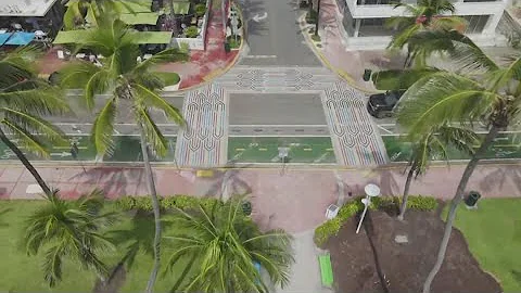 FDOT denies St. Petersburg's request to keep street murals