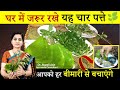      4 magical leaves   4     health benefits of ayurvedic plants