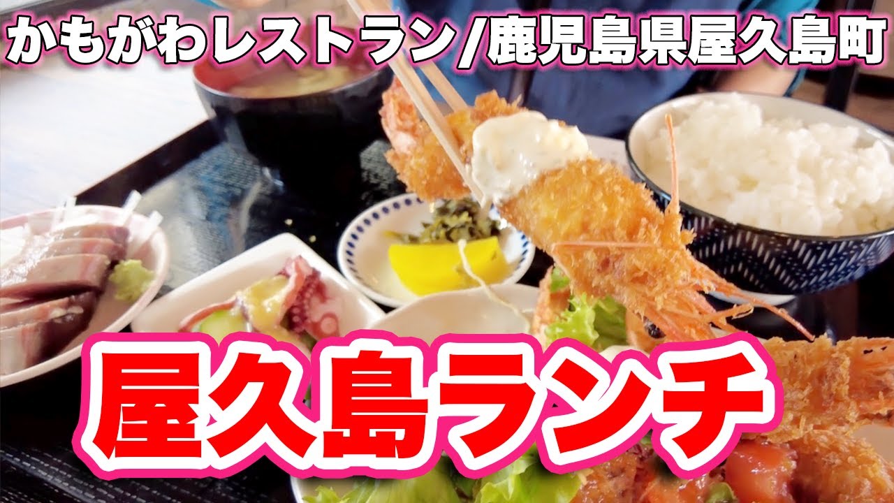 かもがわレストラン 鹿児島県屋久島町 ランチ 巨大エビフライと大盛り焼肉定食をガッツリ 旅行vlog 4k 安房 レストラン かもがわ 駐車場 県道77号線 エビフライ 刺身 焼肉 コーヒー Youtube