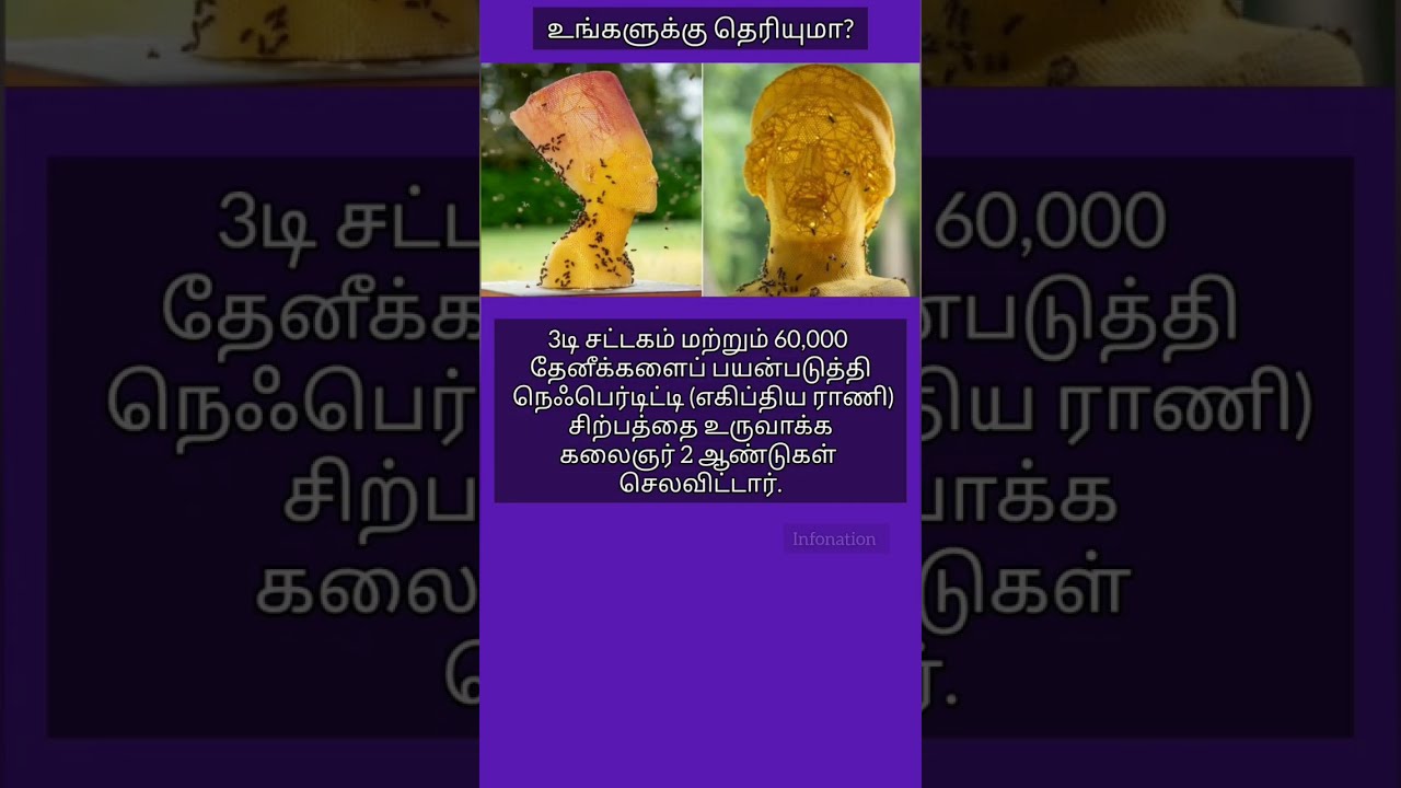  Honey Bee Egyptian Queen Gk Fact 386