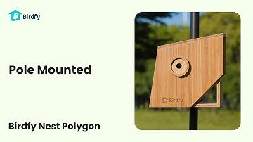 Pole Mounted - Birdfy Nest Polygon Tutorial