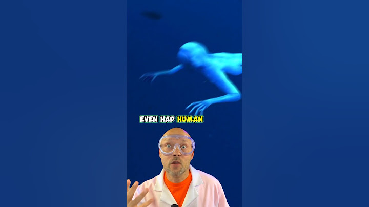 The Japanese ningen