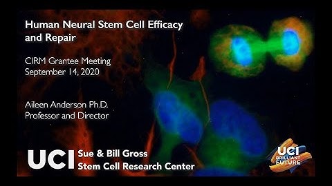 Human Neural Stem Cell Efficacy and Repair - Aileen Anderson