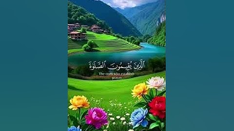 القران الكريم #اكسبلور #القزابري #duet #دويتو #المصحف #حالات_واتس #الرحمن #لايك #الظروف #تيك_توك