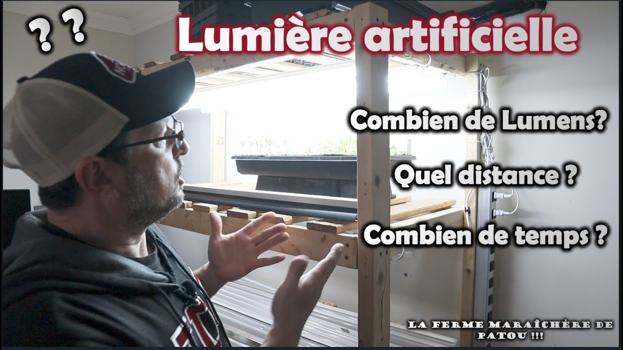 Québec | Lumière à semis | Quel TYPE, Combien de LUMENS, Quel DISTANCE et combien de TEMPS | et +!!!