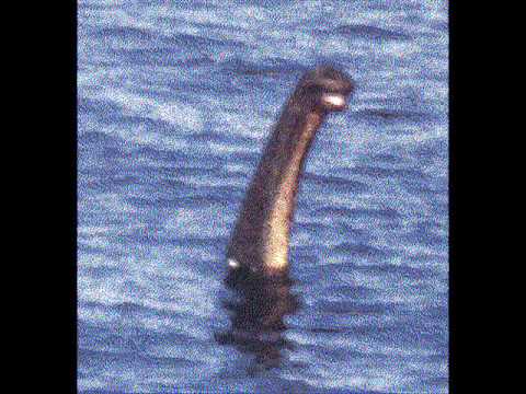 Is it real : The Loch ness monster