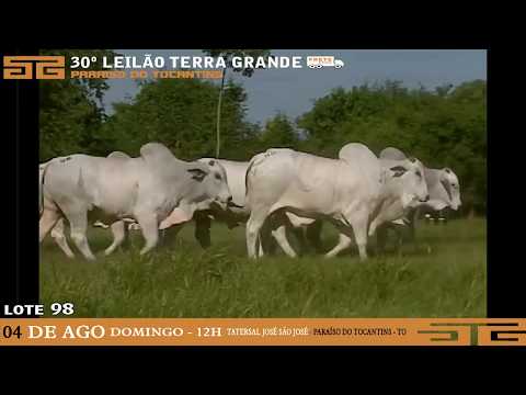 LOTE 098