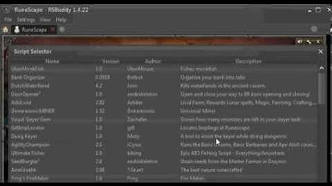 RSBuddy Download + Link In Description | Bot 99