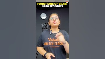 🧠 Unlocking the Brain