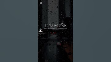 تلاوة جميلة وهادئة #ليطمئن_قلبك #سعود_الشريم #لايك #راحة_نفسية #المصحف
