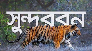 সুন্দরবন | কি কেন কিভাবে | ‍Sundarban | Ki Keno Kivabe