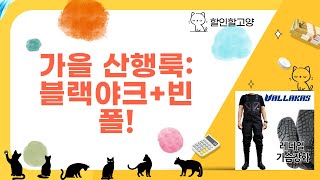 가을 산행 준비! 블랙야크 등산화  빈폴 니트 코디 + LED 파츠 활용 팁