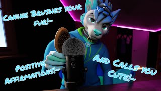 [FURRY ASMR] Canine Brushes And Gives YOU Attention!~