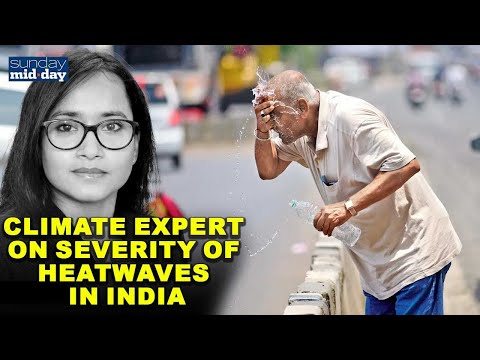 Climate expert Dr Ronita Bardhan on severity of heatwaves in India