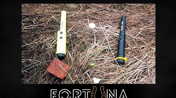 Пинпоинтер Mars или Deteknix - тест в реальных условиях поиска