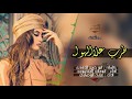 شيلة || طرب على الهوى || اداء ابو مازن المنصوري + عرفات الوصابي || جديد 2018