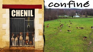 À quoi ressemble un chenil confiné ?