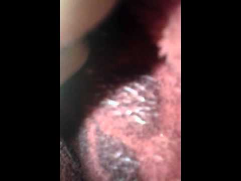 شري بري جوي بحري 4