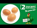 🥚 Factores que afectan a calidad de la cáscara del huevo en gallinas ponedora. La avicultura moderna