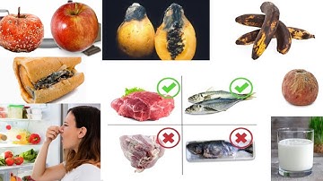 Data de Validade ❎Segurança dos Alimentos