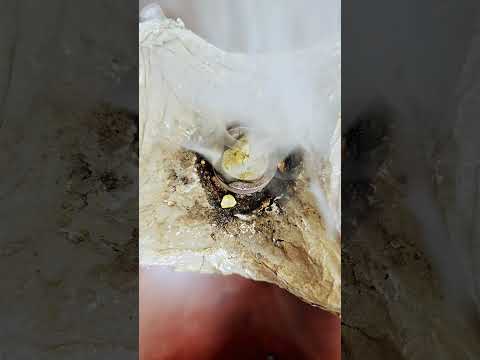 بخور مستكه طبيعي